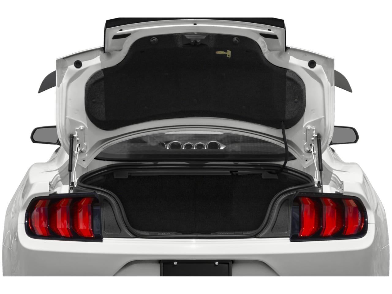 2022 Ford Mustang Mach 1 Fastback