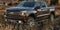 2019 Chevrolet Silverado 1500 Crew Cab Short Box 4-Wheel Drive Custom Trail Boss